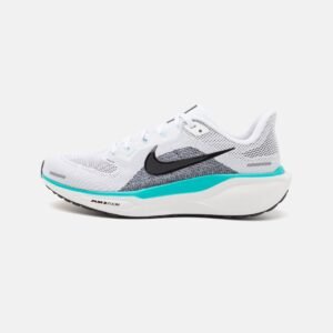 NK Air Zoom Pegasus 41